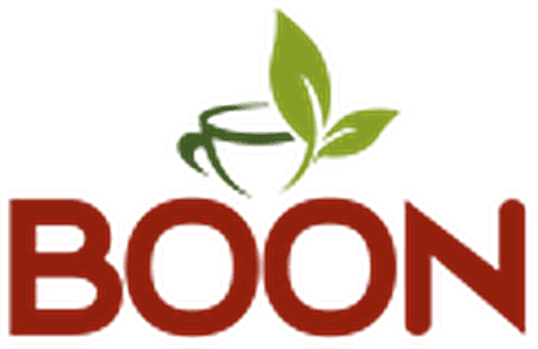 Boon logo