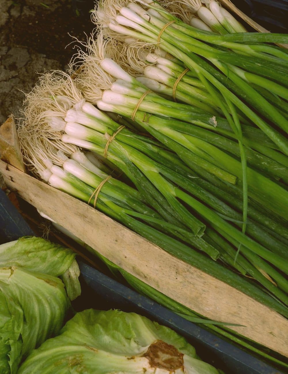 Fresh produce in market crates